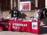 Proyecto “Apadrinar un niño/a en Perú” - 19
