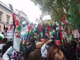Un grupo de totaneros participó en la manifestación a favor de Sáhara - 19