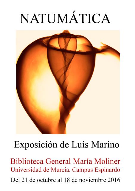 Luis Marino expone en la biblioteca Mara Moliner de la Universidad de Murcia, Foto 1