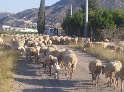 Comunicado de prensa de la asociación cultural La Carrahila - 1, Foto 1