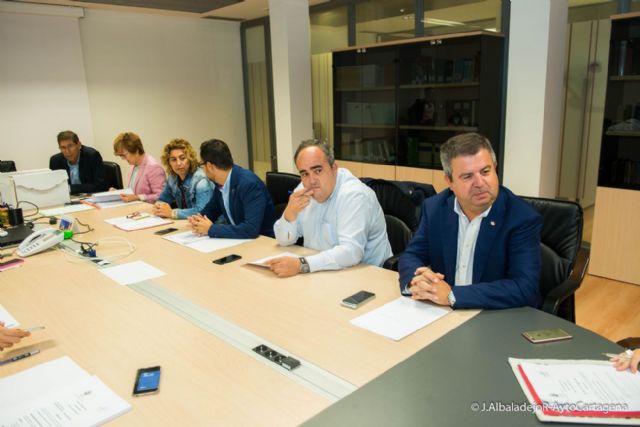 200 perros y gatos serán esterilizados a través de una campaña que se desarrollará en el mes de noviembre - 2, Foto 2