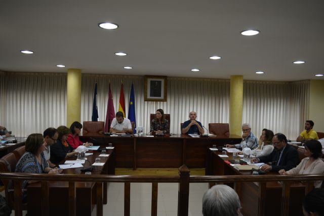 El Pleno debate la situación del contrato de mantenimiento de los jardines públicos - 1, Foto 1