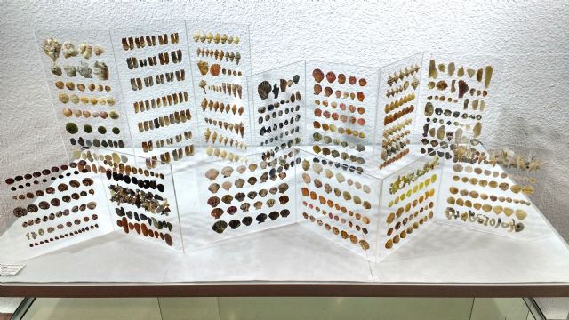 La artista lorquina Pilar Sala dona al Centro de Interpretación del Mar de Águilas una de sus obras - 3, Foto 3