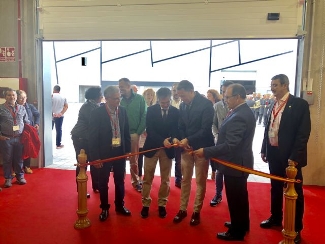 Lorca se convierte este fin de semana en la referencia nacional del bonsái - 1, Foto 1