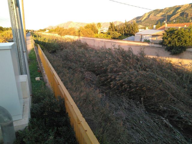 Ahora Murcia solicita la limpieza inmediata del cauce del Reguerón - 1, Foto 1
