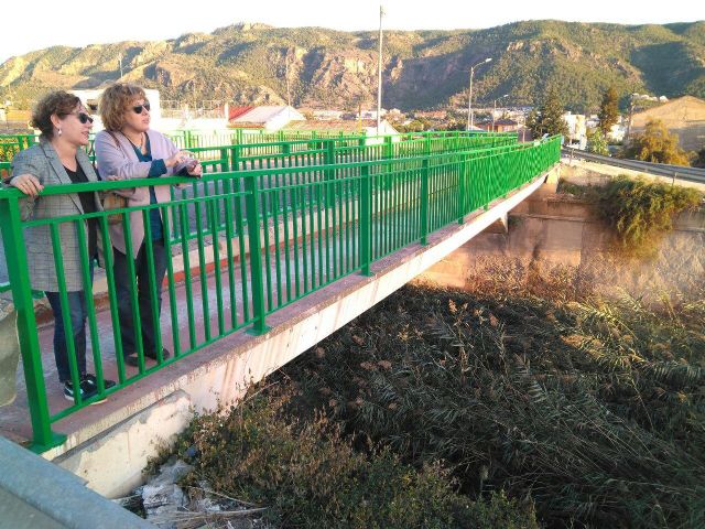 Ahora Murcia solicita la limpieza inmediata del cauce del Reguerón - 2, Foto 2