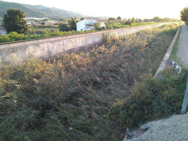 Ahora Murcia solicita la limpieza inmediata del cauce del Reguerón - 3, Foto 3