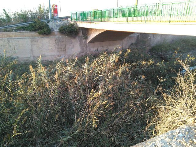 Ahora Murcia solicita la limpieza inmediata del cauce del Reguerón - 4, Foto 4
