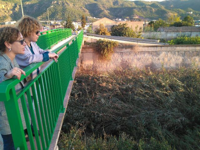Ahora Murcia solicita la limpieza inmediata del cauce del Reguerón - 5, Foto 5