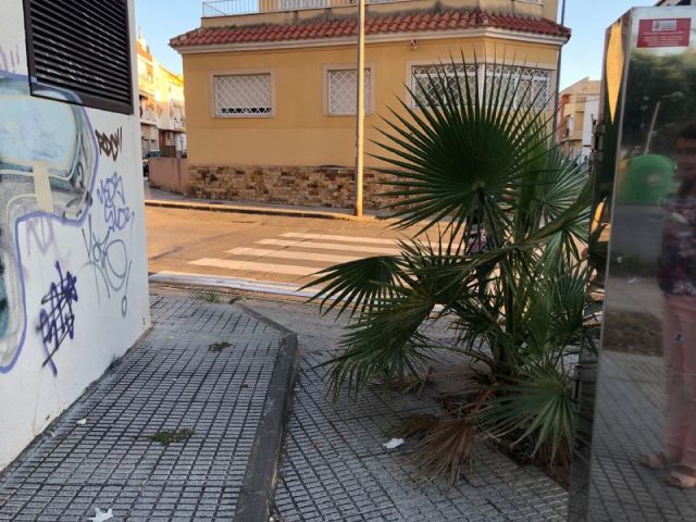 MC exigirá en el Pleno soluciones para los numerosos problemas de accesibilidad, seguridad y limpieza existentes en la Media Sala - 1, Foto 1