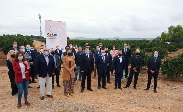 El sector y el Consell impulsan el consumo de los Cítricos Valencianos durante el Primer Corte de la Naranja Valenciana - 1, Foto 1