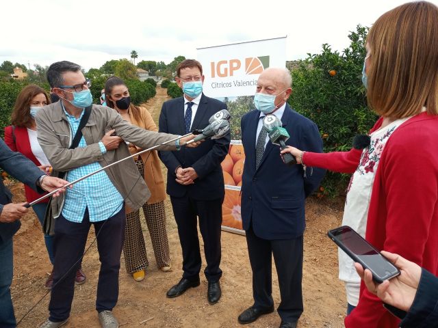 El sector y el Consell impulsan el consumo de los Cítricos Valencianos durante el Primer Corte de la Naranja Valenciana - 2, Foto 2