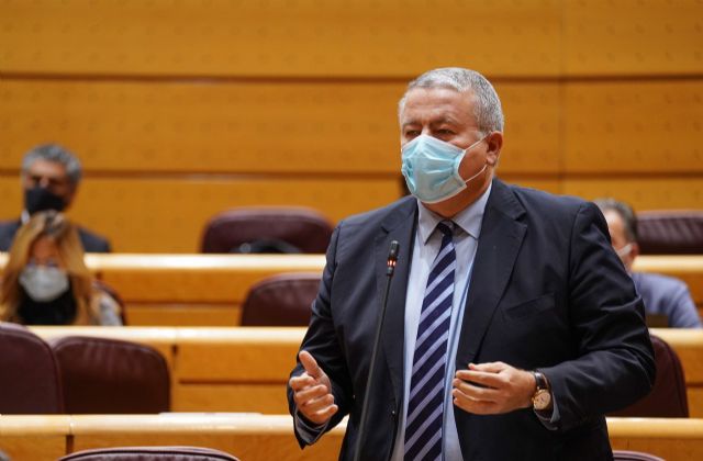 Bernabé: “Se han convertido en caníbales de nuestra democracia por negar la separación de poderes” - 1, Foto 1