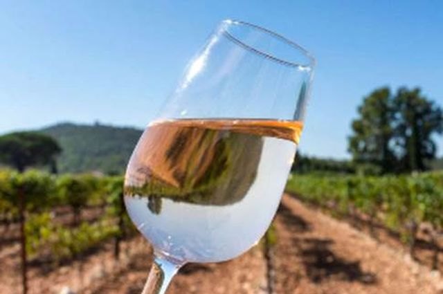 El enoturismo se consolida como una de las principales razones de los españoles para viajar - 1, Foto 1