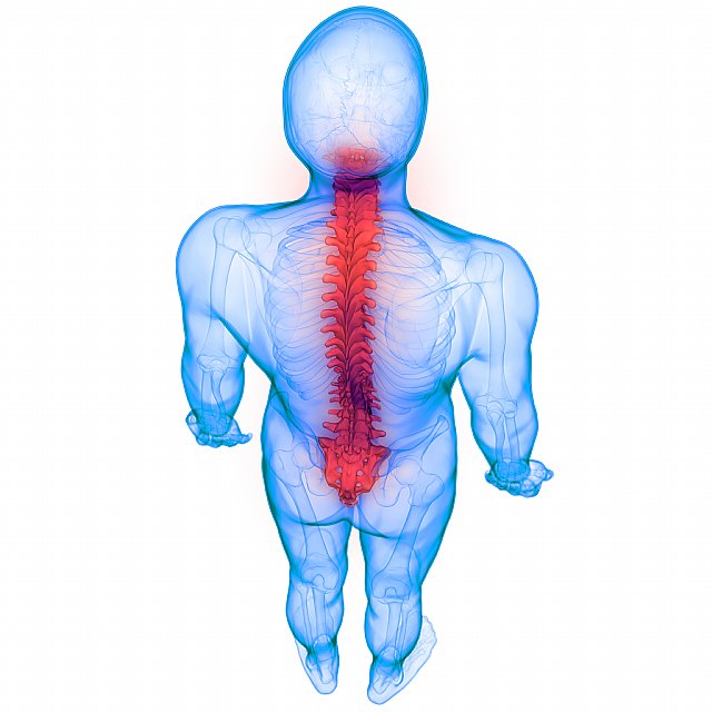 Foto: <a href=https://sp.depositphotos.com/ rel=nofollow target=_blank>Depositphotos</a>, Foto 1