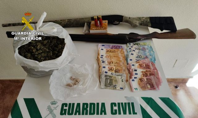 La Guardia Civil desmantela un grupo delictivo dedicado al cultivo y tráfico de cannabis - 4, Foto 4