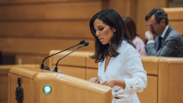 Millán reprueba la hipocresía del Gobierno: - 1, Foto 1