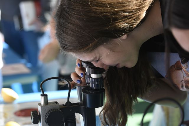 La UMU lleva más de un centenar de actividades científicas a la Semana de la Ciencia - 1, Foto 1