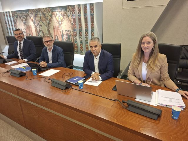 El PP denuncia que PSOE y Vox se han aliado para modificar la Ley de Simplificación Administrativa - 1, Foto 1