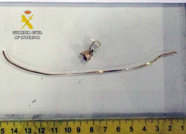 La Guardia Civil desmantela un grupo criminal dedicado a tirones de joyas a mujeres de avanzada edad - 3, Foto 3