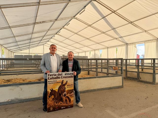 Lorca acoge este fin de semana, en el Huerto de la Rueda, la tradicional Feria del Caballo Cruzado, con la exhibición de más de un centenar de ejemplares - 4, Foto 4