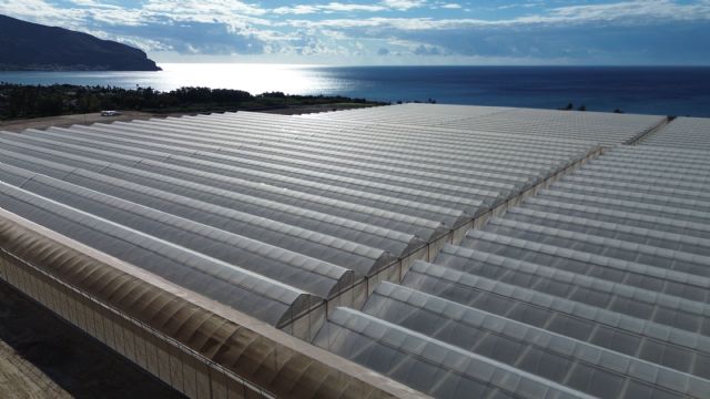 Ingeniería y tecnología murcianas para construir un nuevo invernadero de gran escala en Japón - 2, Foto 2