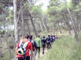 El pasado domingo 13 de Noviembre se celebraba por parte del club senderista de Totana una nueva ruta programada en su calendario de actividades - 5