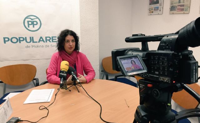 El PP solicita que se reacondicione y redistribuya el parque infantil y biosaludable de el Fenazar - 1, Foto 1