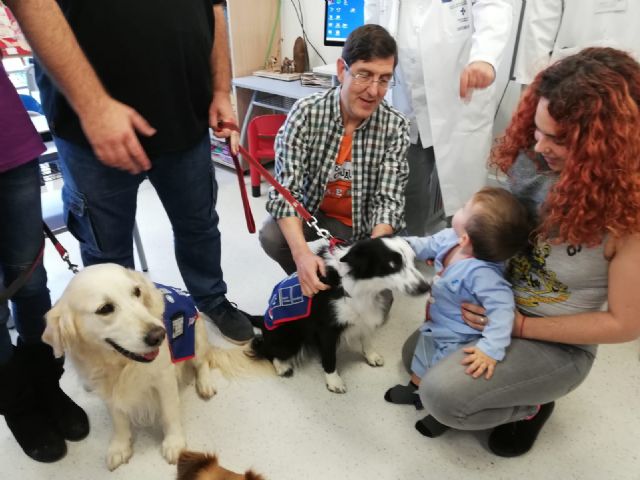 La Comunidad implanta en Cartagena la terapia con perros para mejorar la recuperación de los niños hospitalizados - 1, Foto 1
