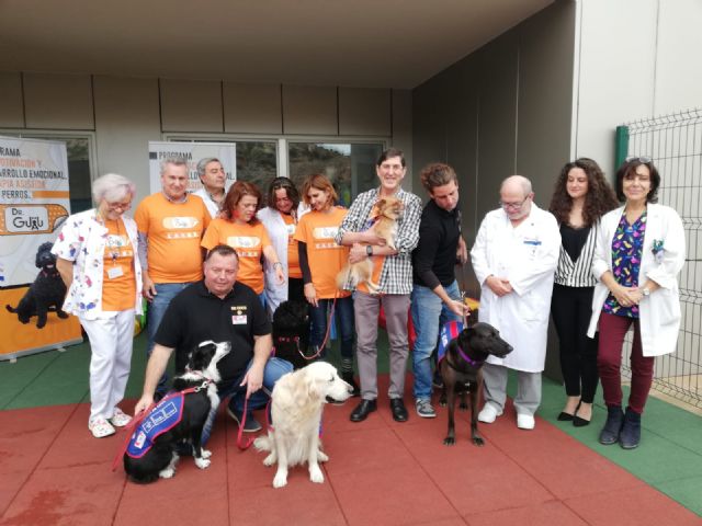 La Comunidad implanta en Cartagena la terapia con perros para mejorar la recuperación de los niños hospitalizados - 2, Foto 2