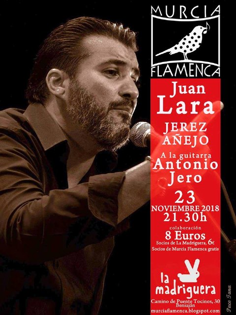 Juan Lara en Murcia Flamenca, Foto 1