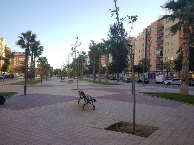 Parques y Jardines sustituye una treintena de árboles en Ronda Sur para dar sombra y embellecer la zona - 1, Foto 1