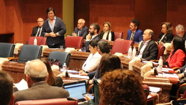 Martínez Baños: Con la incorporación de Cs al Gobierno regional no ha cambiado nada - 5, Foto 5