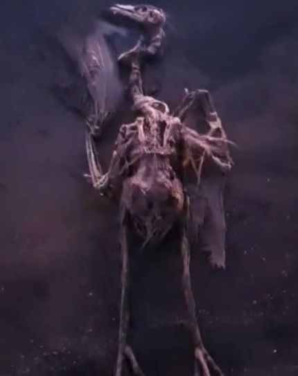 Ante los riesgos para la población, MC exige una actuación urgente en los terrenos de Zincsa - 2, Foto 2