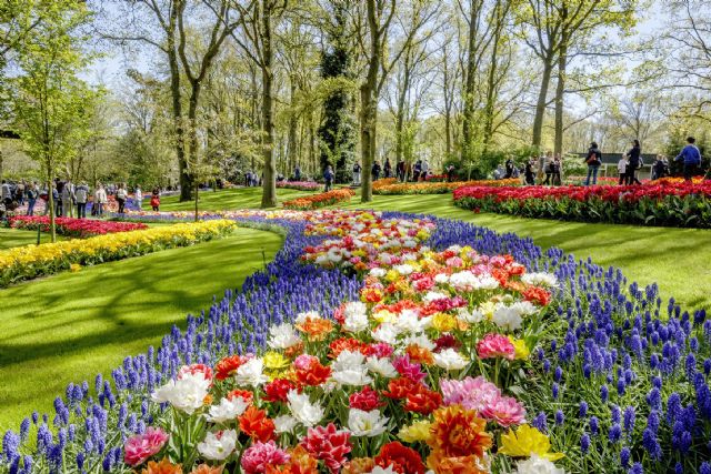 Llega el black friday a los fluviales de croisieurope - 2, Foto 2