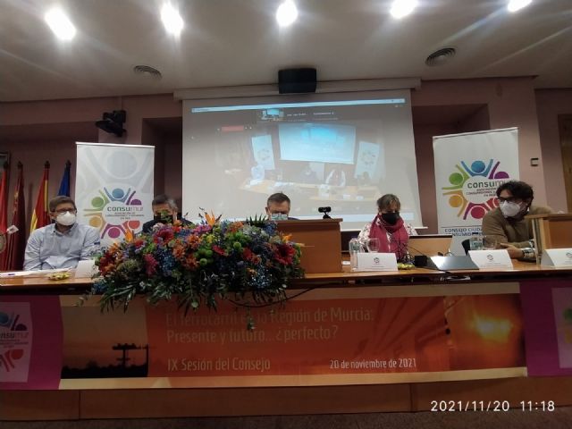 El Consejo Ciudadano de CONSUMUR analiza, en su novena sesión, la situación del ferrocarril en la Región de Murcia - 1, Foto 1