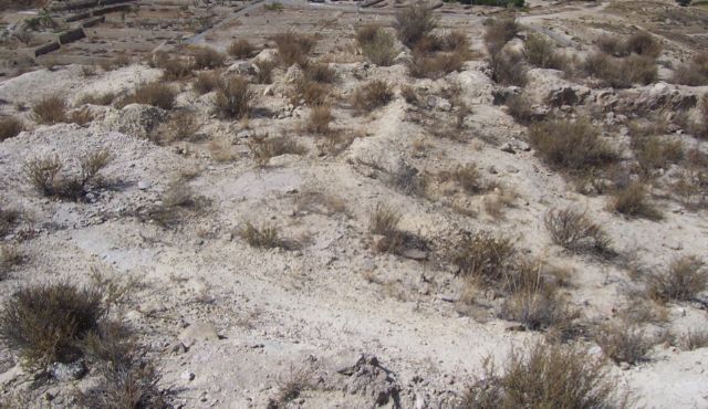 El yacimiento del Cabecico de La Cobertera contará con una subvención directa de 40.000 euros para proteger este patrimonio cultural - 1, Foto 1