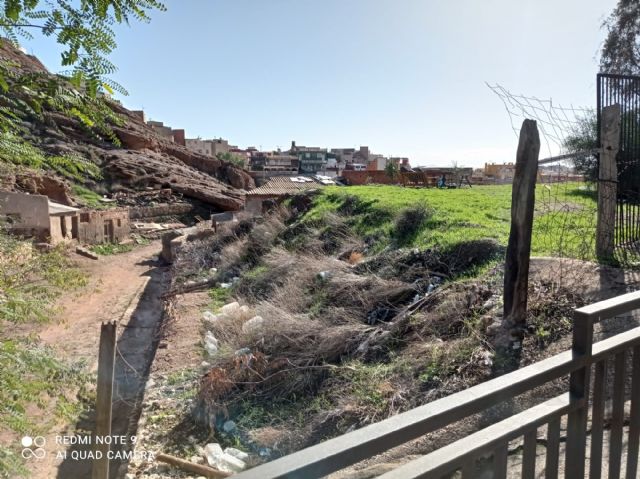 Una plaga de ratas se come los cables de la iluminación pública de Lorca - 2, Foto 2
