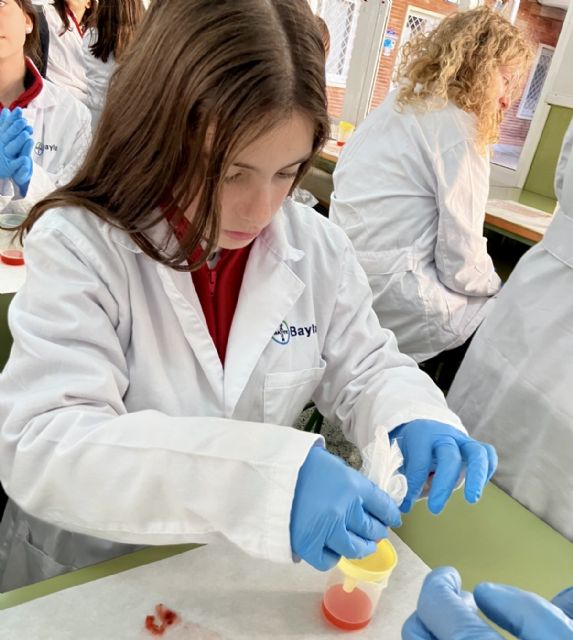 Baylab, el programa de Bayer para acercar la ciencia a los  niños, llega a Murcia - 1, Foto 1