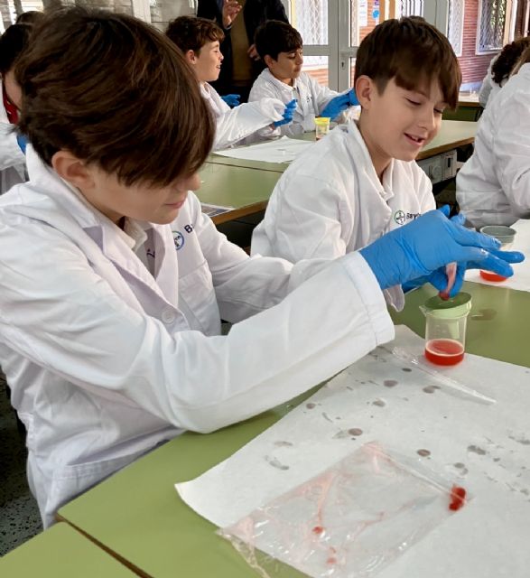 Baylab, el programa de Bayer para acercar la ciencia a los  niños, llega a Murcia - 2, Foto 2