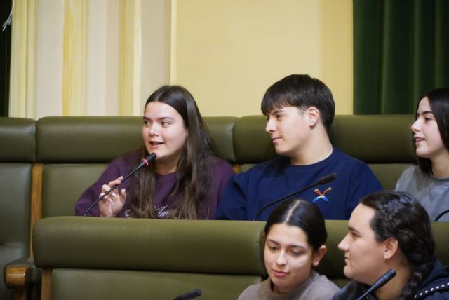 Juventud celebra una nueva sesión del Plano Juvenil con la participación del alumnado de secundaria - 4, Foto 4