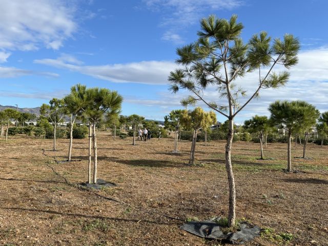 El parque forestal Felipe López vuelve a ser vandalizado apenas veinticuatro horas después de la actuación de replantado de pinos - 1, Foto 1