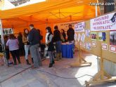 Más de trescientos escolares participan en las actividades del Día contra el Racismo - 7