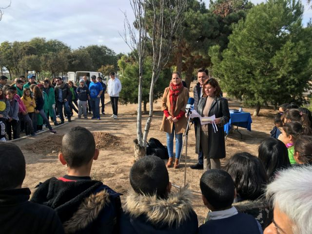 Colegios y asociaciones participan en una plantación de árboles a los que dan su nombre - 1, Foto 1