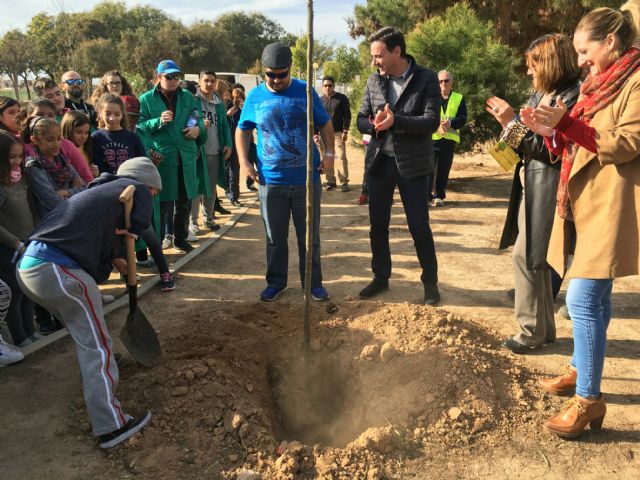 Colegios y asociaciones participan en una plantación de árboles a los que dan su nombre - 2, Foto 2