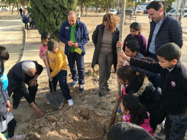 Colegios y asociaciones participan en una plantación de árboles a los que dan su nombre - 3, Foto 3