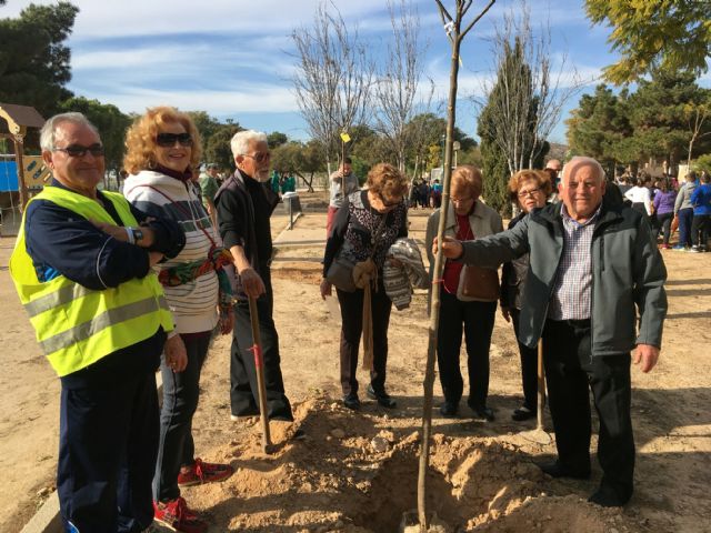 Colegios y asociaciones participan en una plantación de árboles a los que dan su nombre - 4, Foto 4