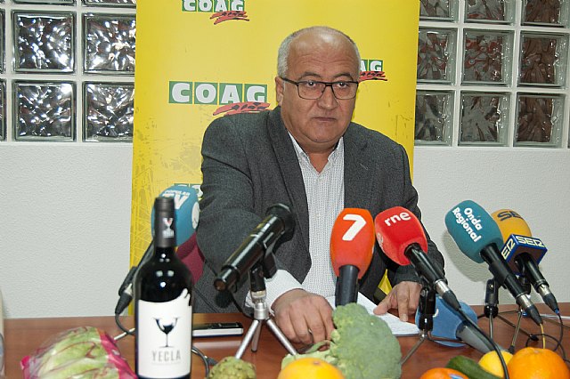 COAG alerta de una posible reconversión del sector agrícola en 10 años similar a la sufrida por el porcino - 1, Foto 1