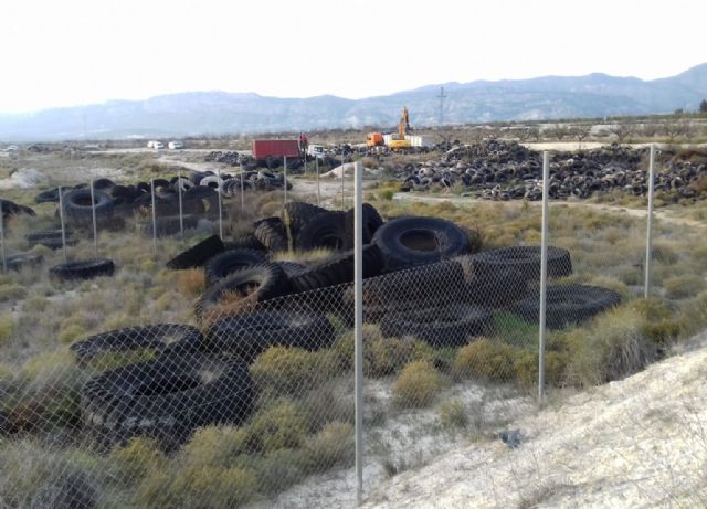 Comienza la retirada de 60 toneladas de neumáticos acumulados en un vertedero del término municipal - 2, Foto 2