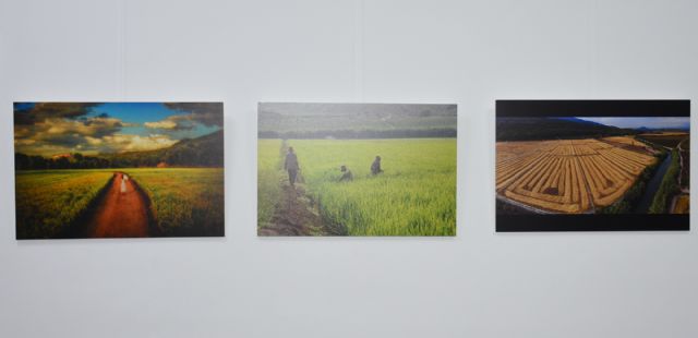 Se anuncian los ganadores de la I Edición de las Jornadas Gastronómicas del Arroz de Calasparra - 4, Foto 4